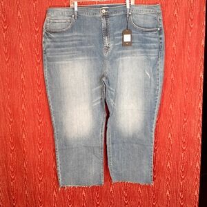 SERRA RETREAT Stretch Ankle Blue Denim Jeans Women's Size 28W NWT